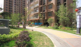 林园最新视频,揭秘投资智慧与市场洞察